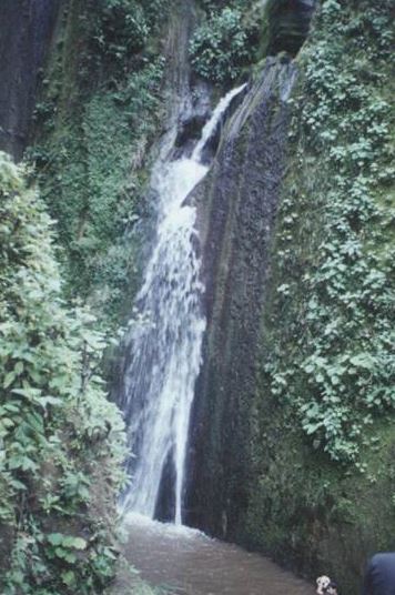 Cascada de Procel