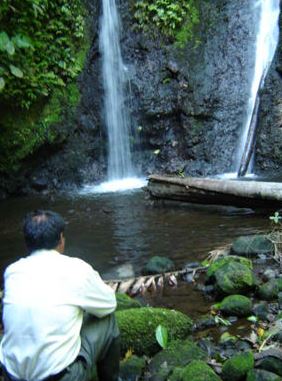 Cascada Nayanmak