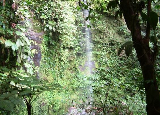Cascada de los Tayos
