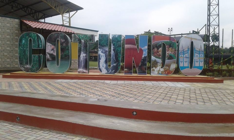 Cotundo