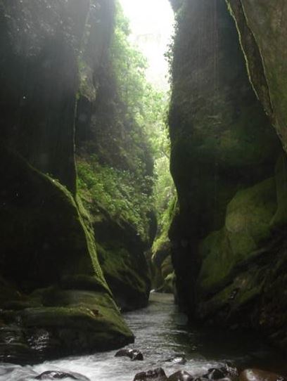 Cueva de Loras y Golondrinas