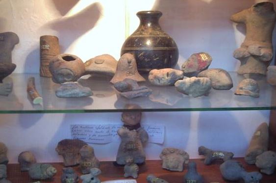 Museo y Orquideario