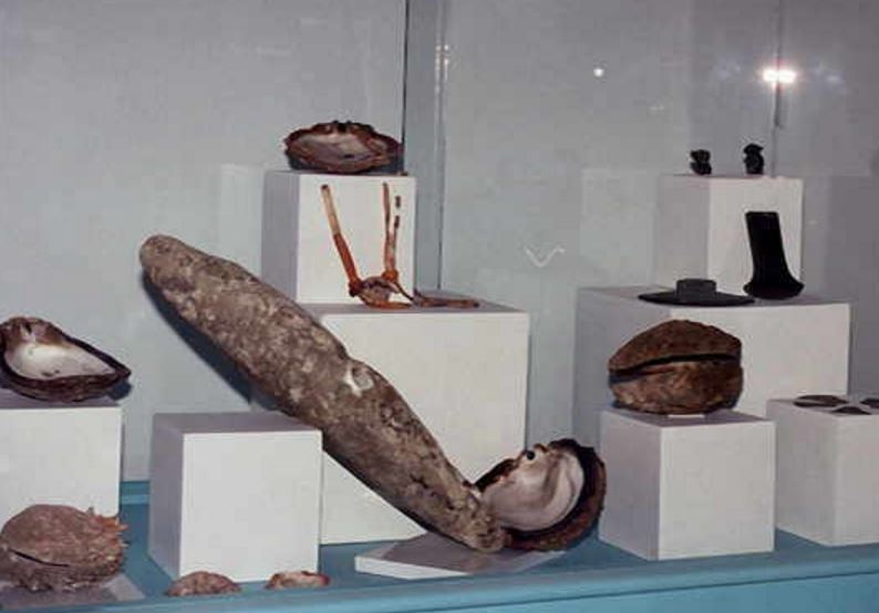 Museo Salinas Siglo XXI