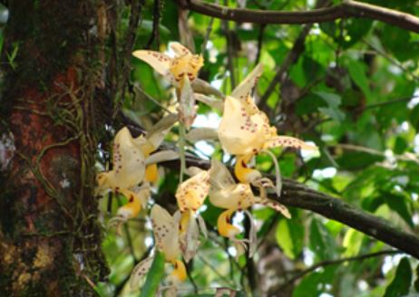 Laboratorio Natural Madre Selva