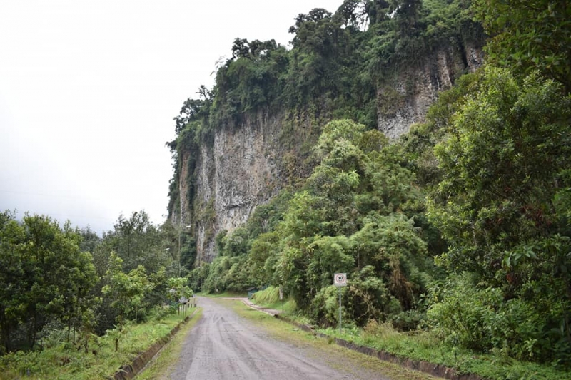 Cuyuja