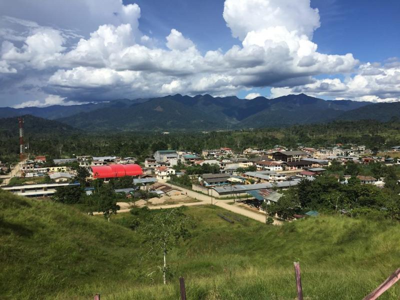 Guayzimi