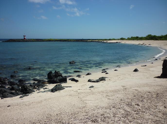 Playa Punta Carola