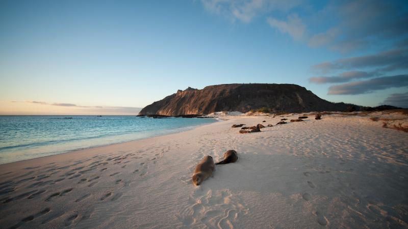 Isla Seymour Norte