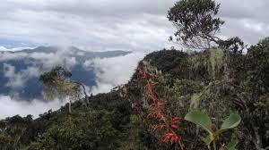 Reserva Biológica El Quimi