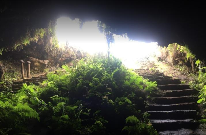 Cueva de Sucre