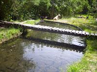Rancho la Delicia