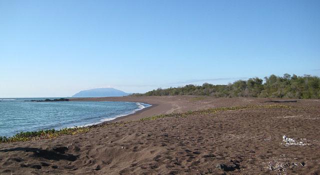 Playa Tortuga Negra