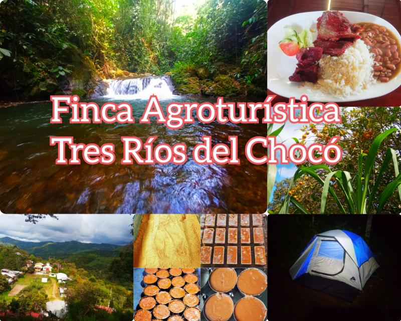 Finca Agroturística Tres Ríos del Chocó