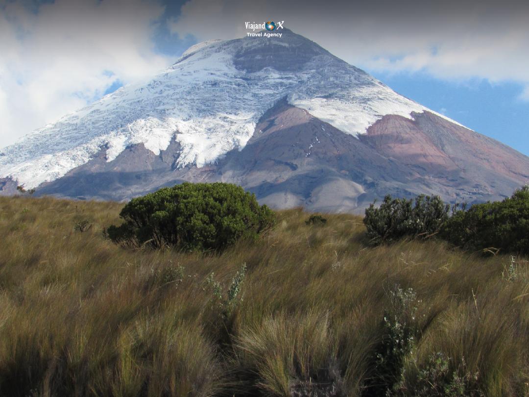 Volcán Cotopaxi