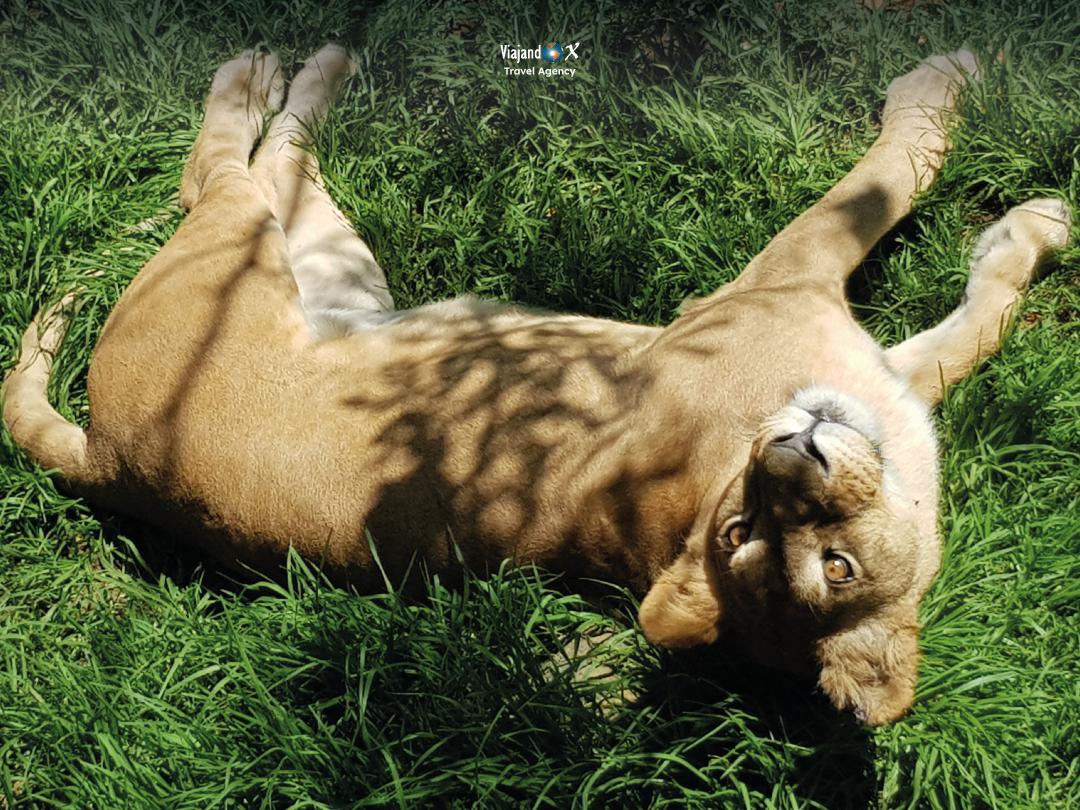Zoológico de Guayllabamba