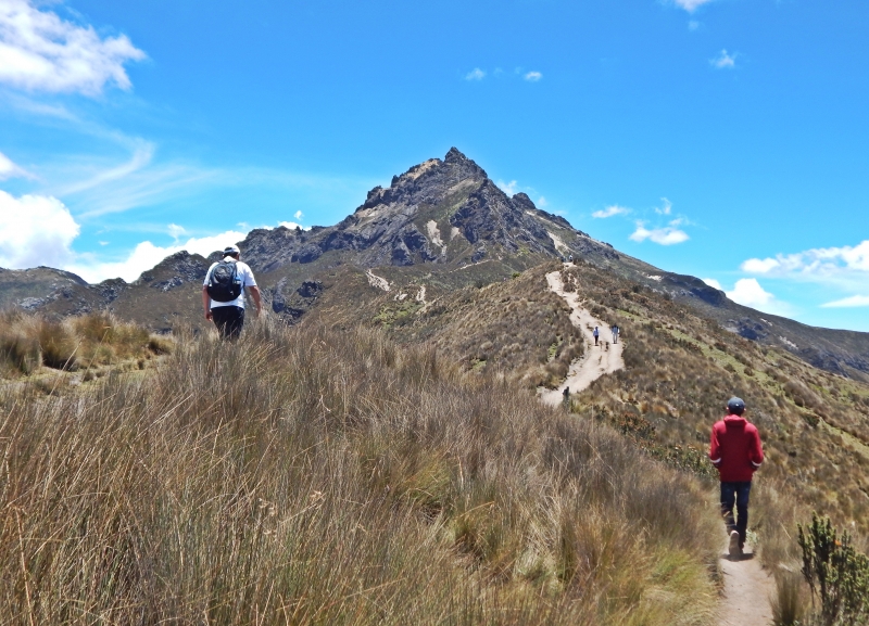 Rucu Pichincha