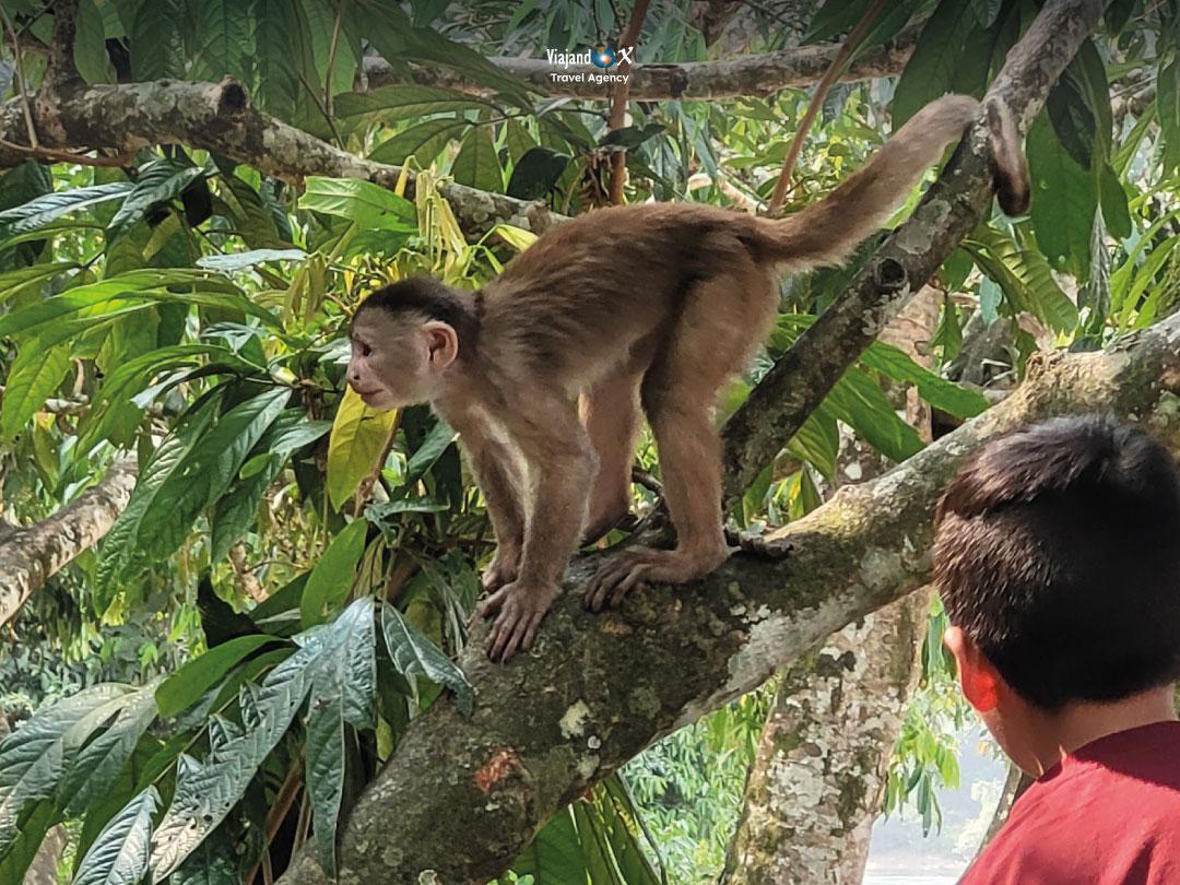 Puerto Misahuallí