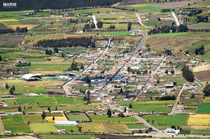 Pesillo
