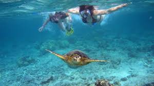 Snorkeling en Galápagos