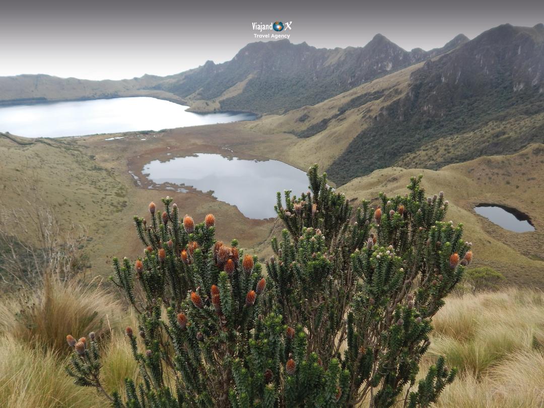 Laguna de Mojanda