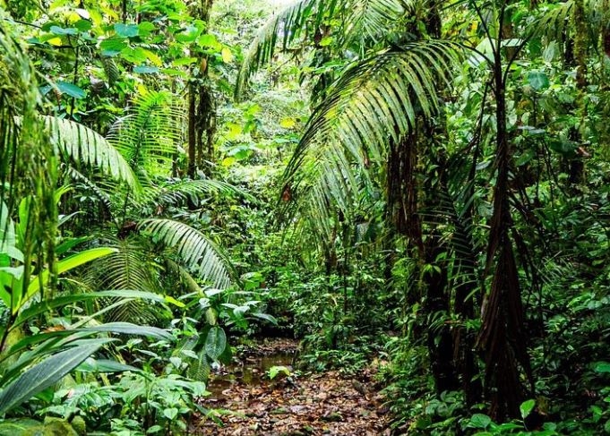 Itapoa Reserve