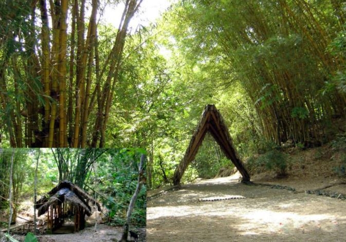 Reserva de los monos