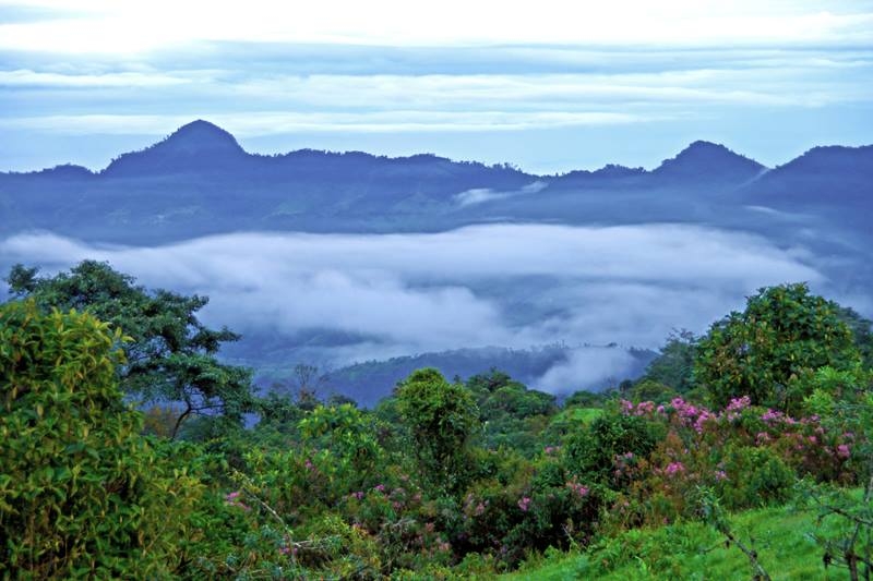 Reserva Ecológica Bombolí