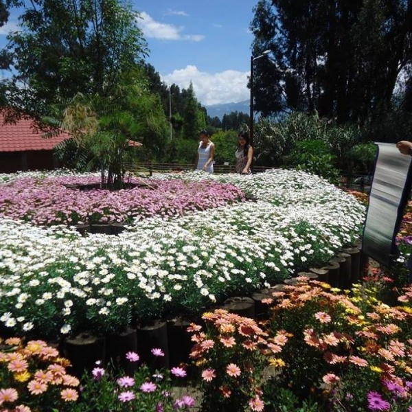 Ricpamba Paseo Ecológico