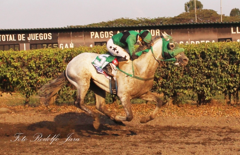 Hipódromo “Miguel Salem Dibo” - Buijo