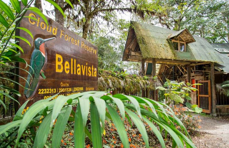 Bellavista Cloud Forest Reserve