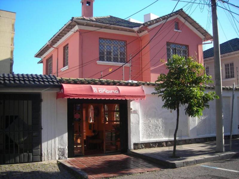 Hotel Andino