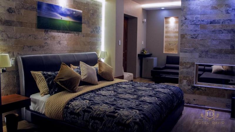 Hotel David