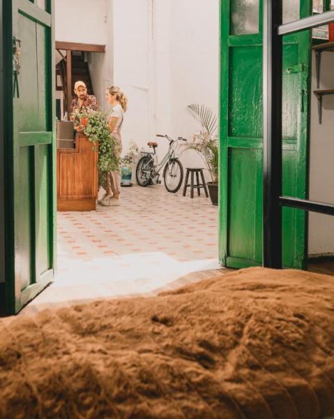Wild Monkey Hostel 2