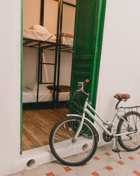 Wild Monkey Hostel 5