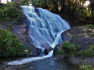 Imagen AWA