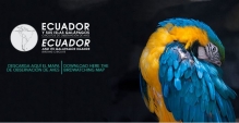 Ecuador cuenta con circuitos de observación de aves