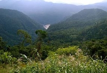 Bosque Protector Kutuku