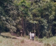 Imagen Caminata