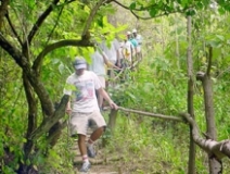 Imagen Caminata