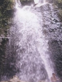 Imagen Cascada
