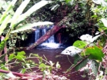 Cascada Kumpant