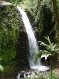 Imagen Cascada