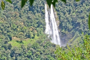 Cascada de Yacuambi