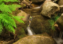 Imagen Cascadas