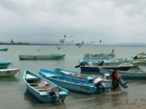 Imagen Cojimíes
