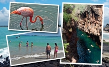 Imagen Galápagos