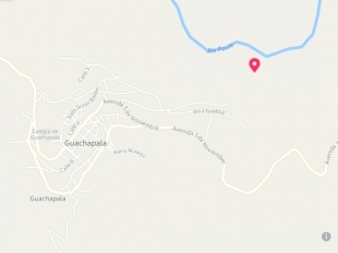 Imagen Guachapala