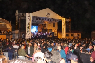 Imagen Guachapala