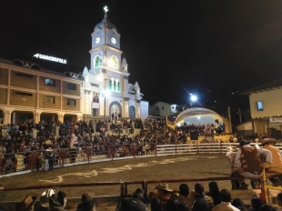 Imagen Guachapala