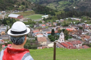 Imagen Guachapala